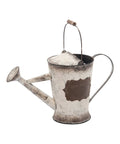 Iron Watering Can R82881