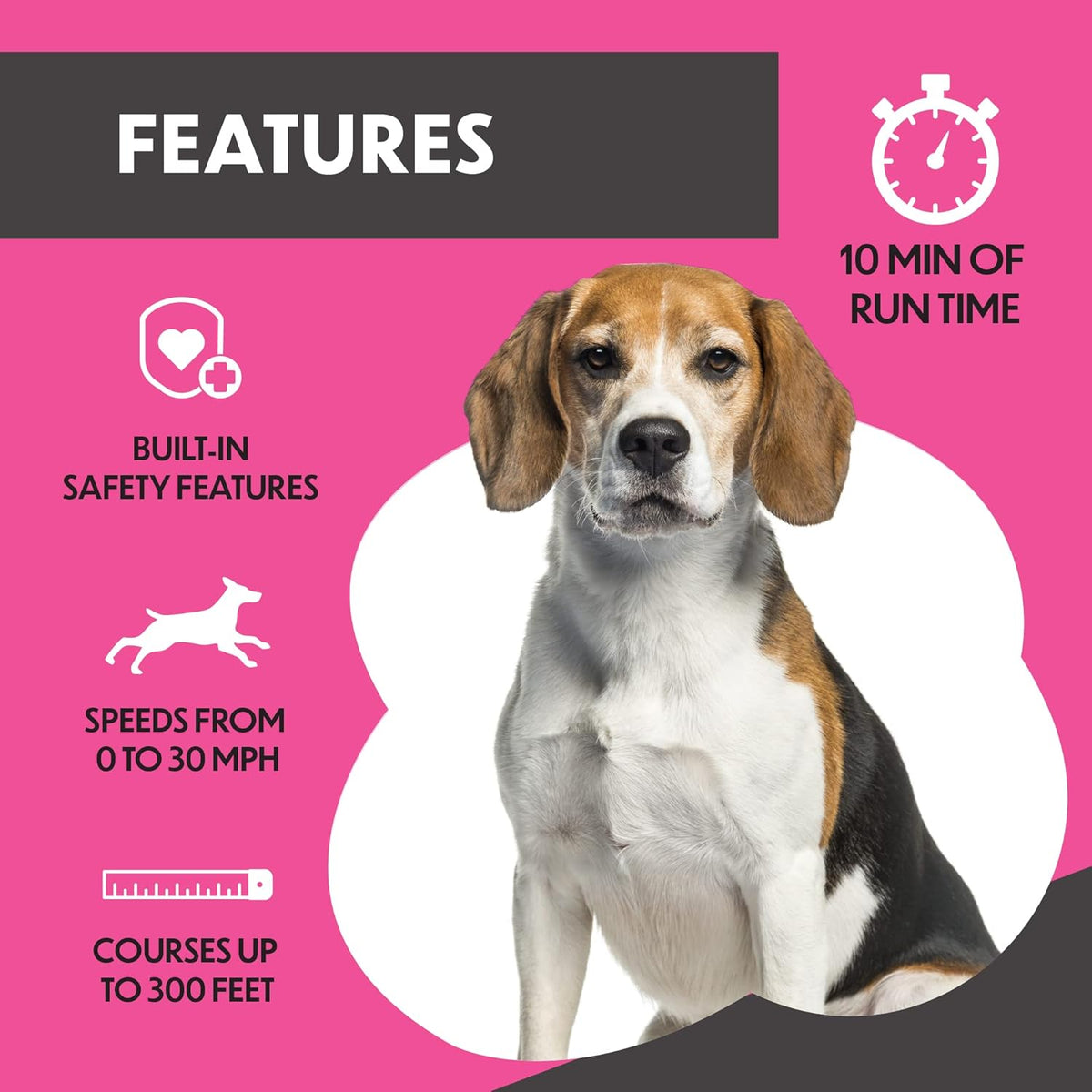 Remote-Control Capture-The-Flag Toy for Dogs W973333