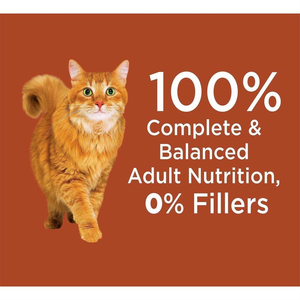 High Protein Chicken & Salmon Dry Cat Food Z26332