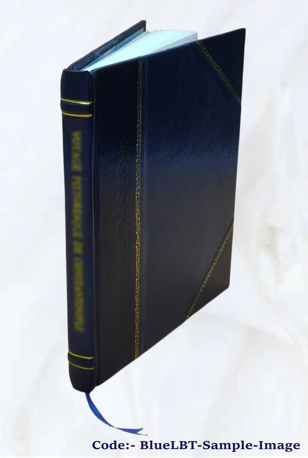 The at-onement by the Christian Trinity, or, The legal and spiritual salvation of man from sin makes manifest the dual philosophy of the gospel H789048