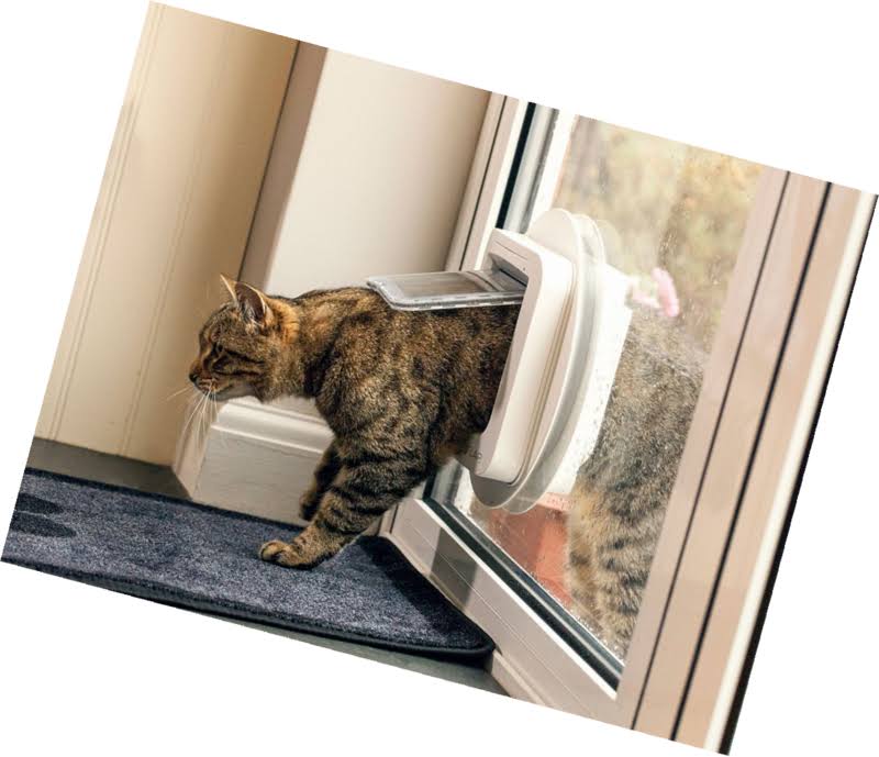 White Microchip Cat Flap W639396