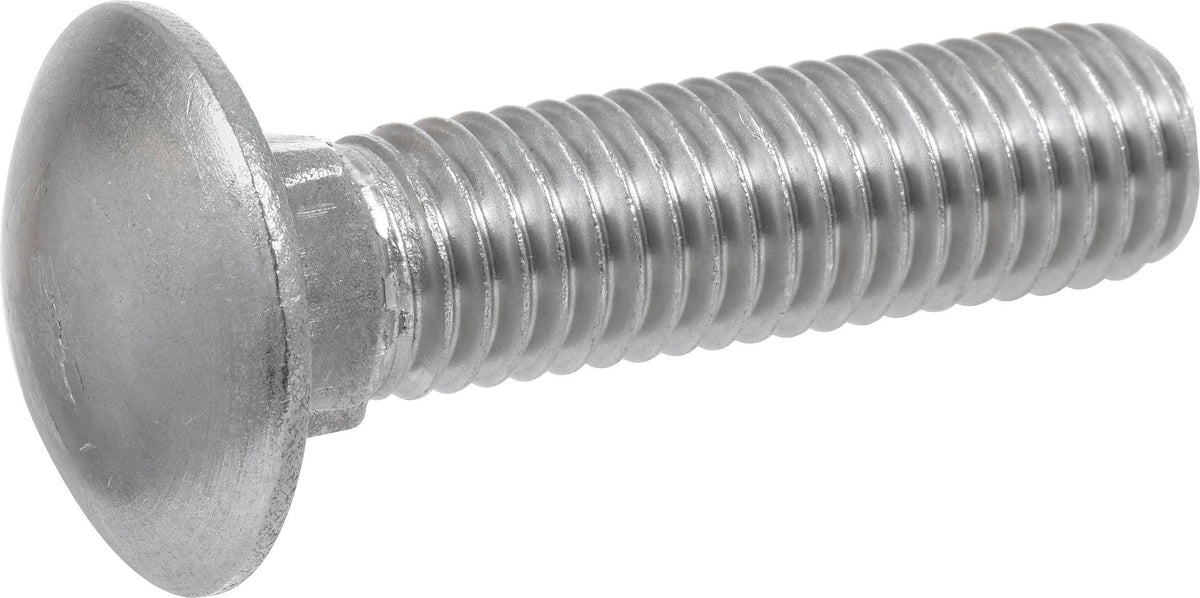 Stainless Steel Carriage Bolt, 25-Pack I6266