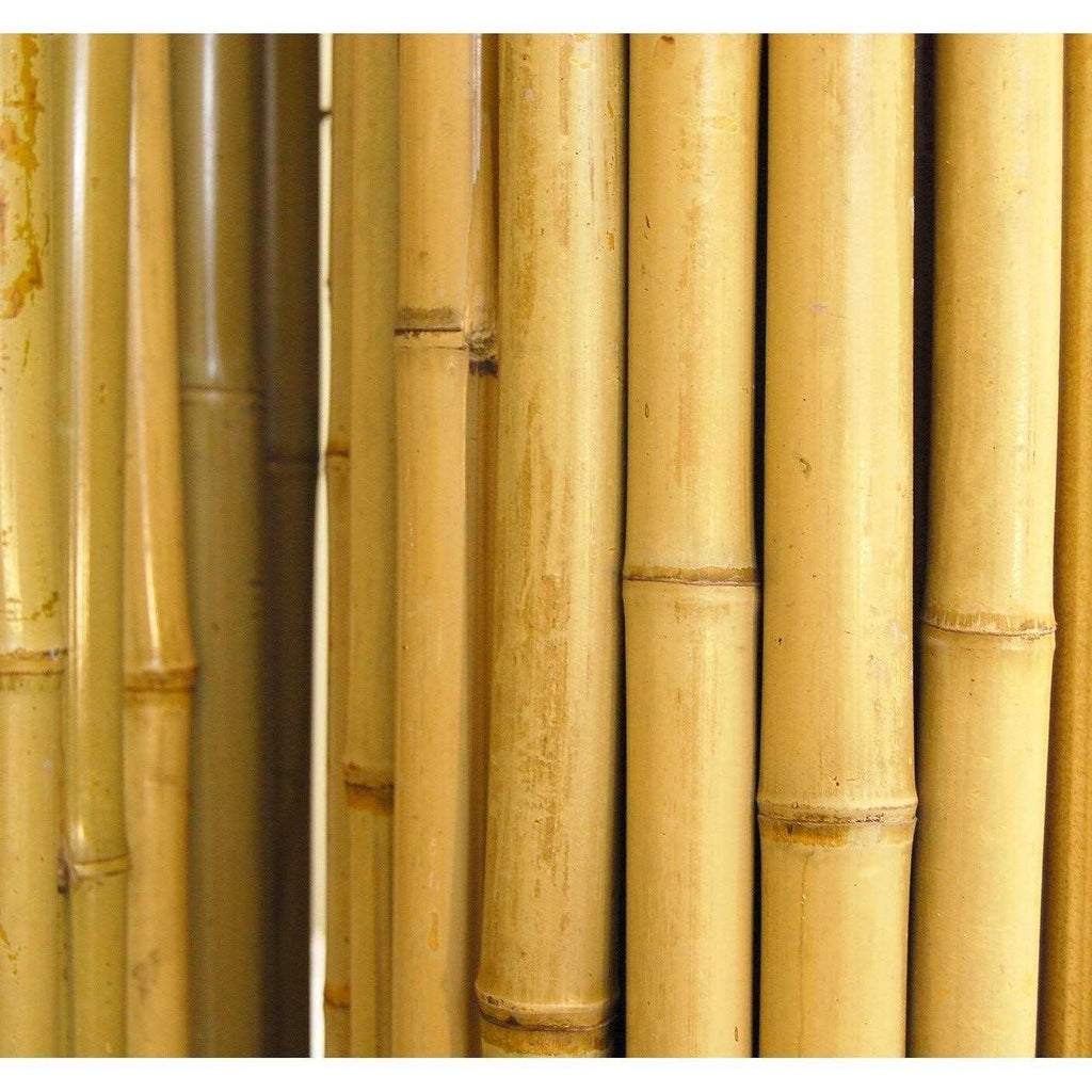 Natural Bamboo Fencing Z59623