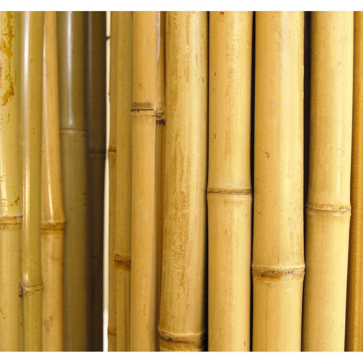 Natural Bamboo Fencing Z59623