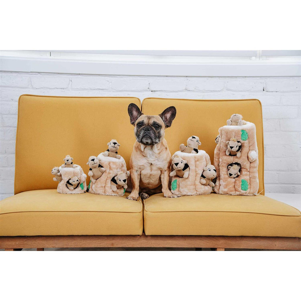 Hide A Squirrel Dog Toy Y2079