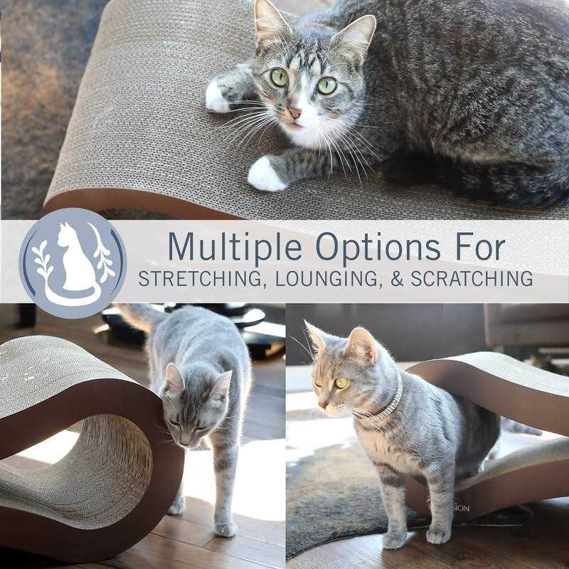 Cat Scratcher Lounge R594