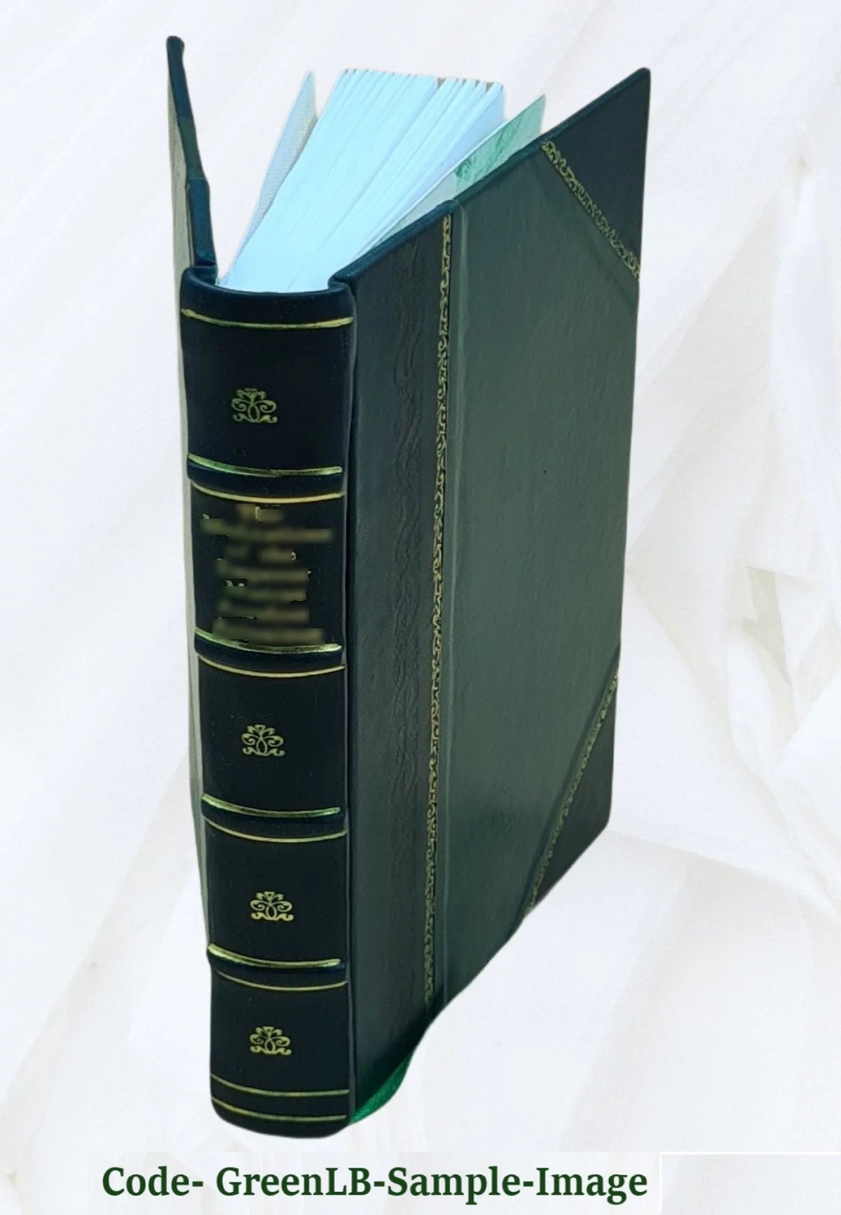 Ubu roi Leather Bound S14163