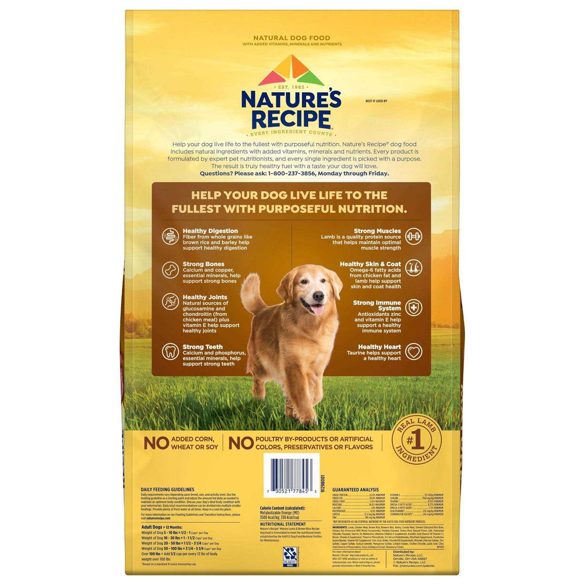 Dry Dog Food X2641