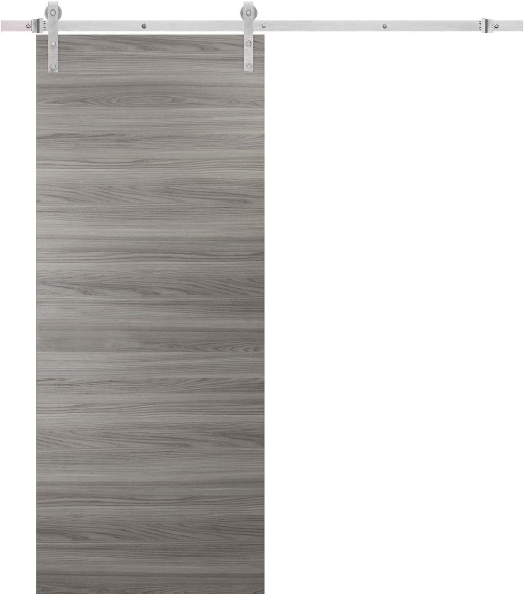 Solid Barn Door with Stainless Steel Rail Hardware Kit O93846