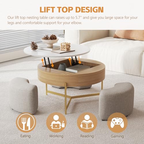 3 in 1 Lift Top Nesting Coffee Table with Storage T6194