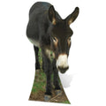 Donkey Cardboard Cutout Standup S17540