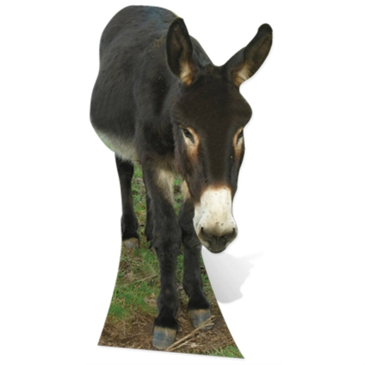 Donkey Cardboard Cutout Standup S17540