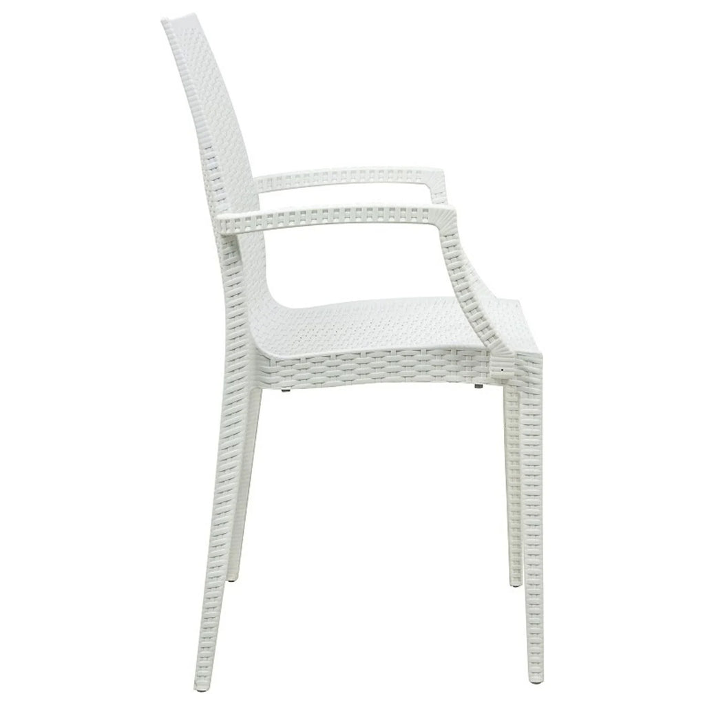 Mid-Century Indoor/Outdoor Chair J275667