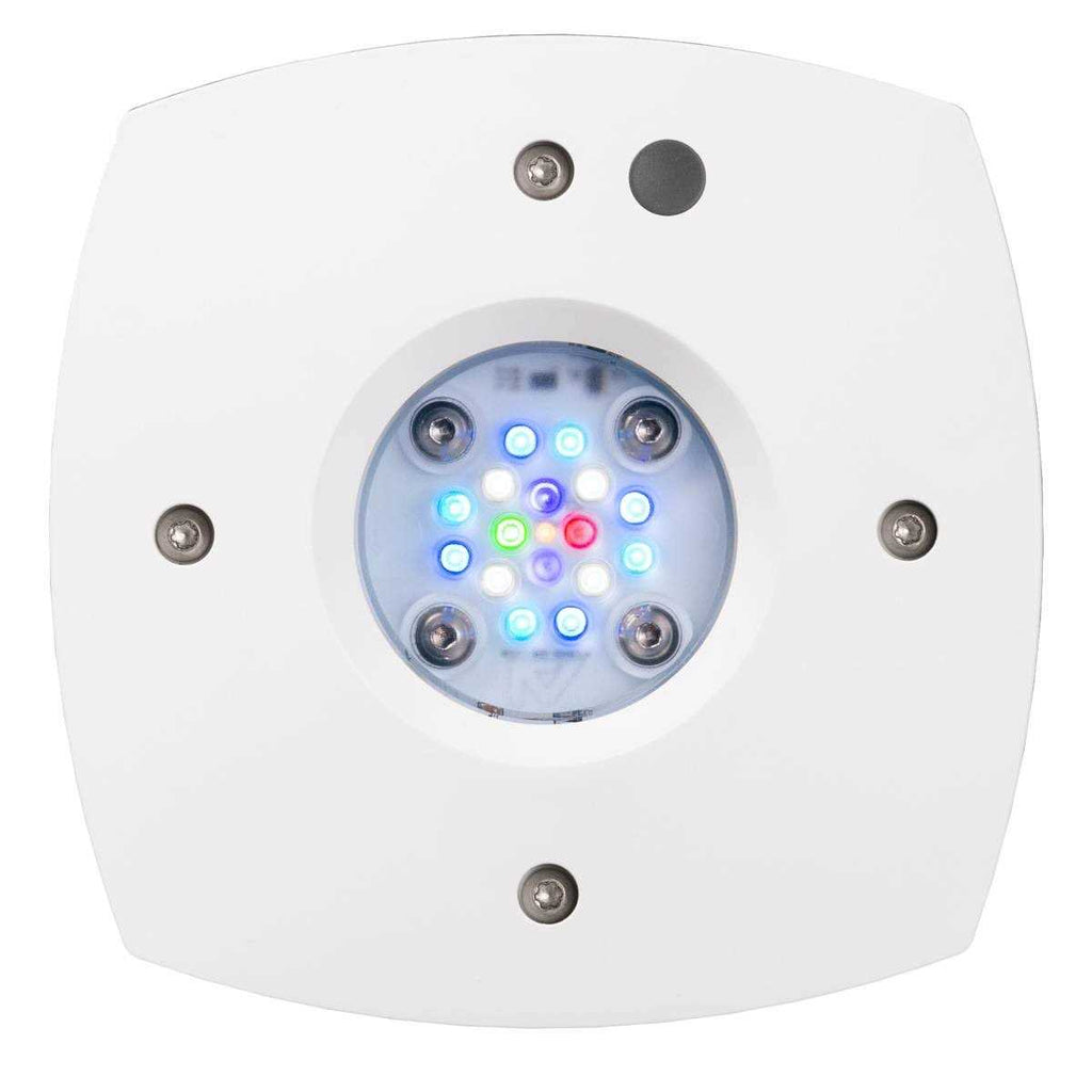 Prime 16HD Reef LED Z89705