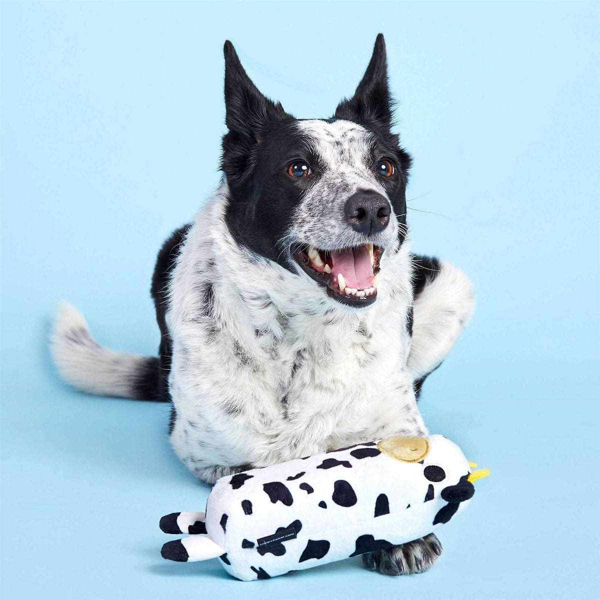 Cow Dog Toy F11390