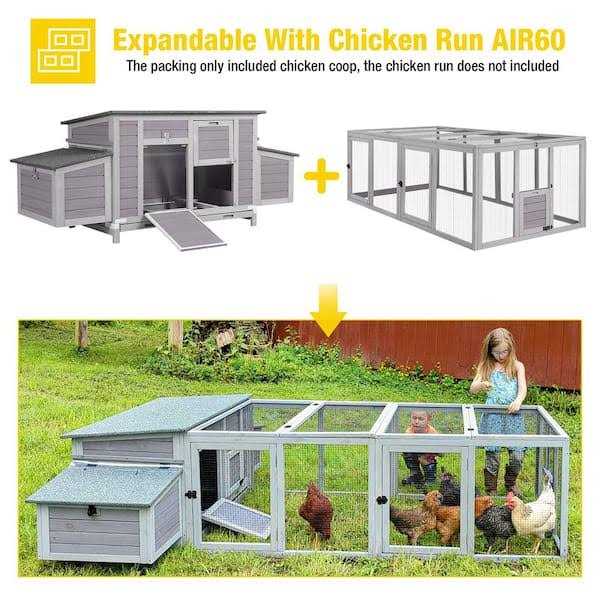 Wooden Chicken Coop for 2-4 Chickens L5989