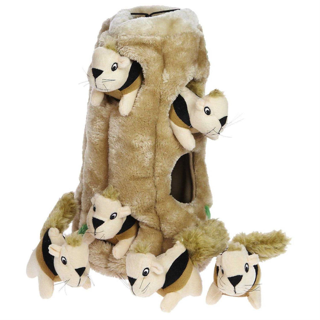 Hide A Squirrel Dog Toy Y2079