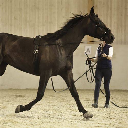 Nylon Cavesson N3189