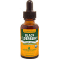 Black Elderberry M3580