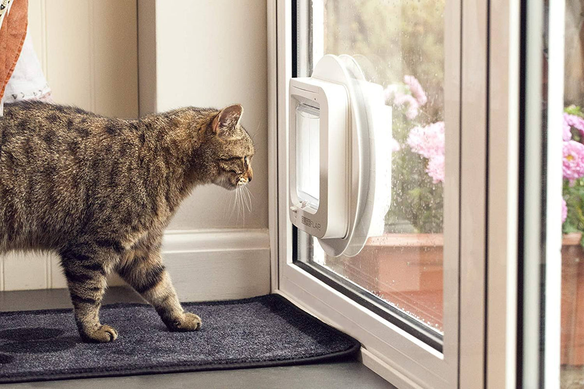 White Microchip Cat Flap W639396