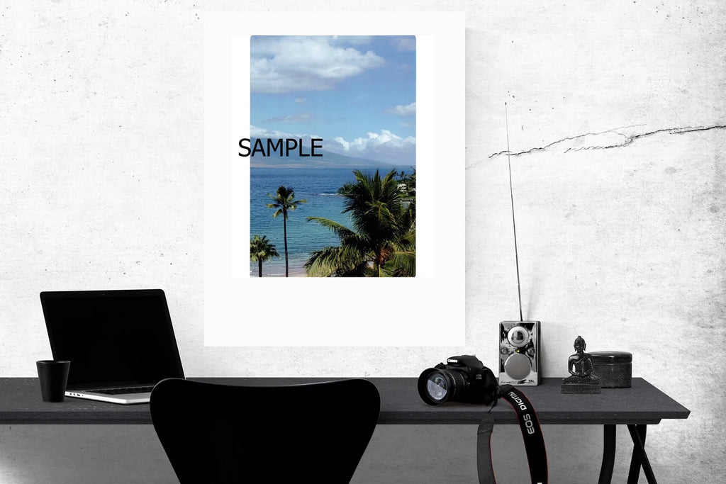 16x24 Unframed Poster X807