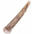 Deer Antler Dog Chew I636