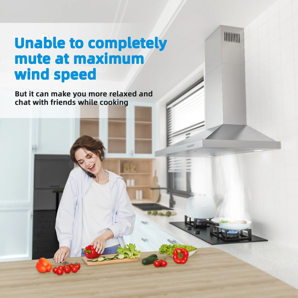 30 inch Stainless Steel Wall Mount Range Hood 400 CFM V752855