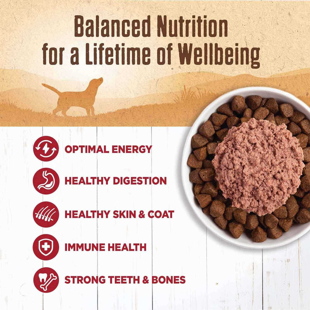 Dog Food Beef X4576