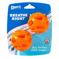 Fetch Ball V5054