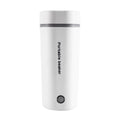 Small Stainless Steel Electric Kettle M88246