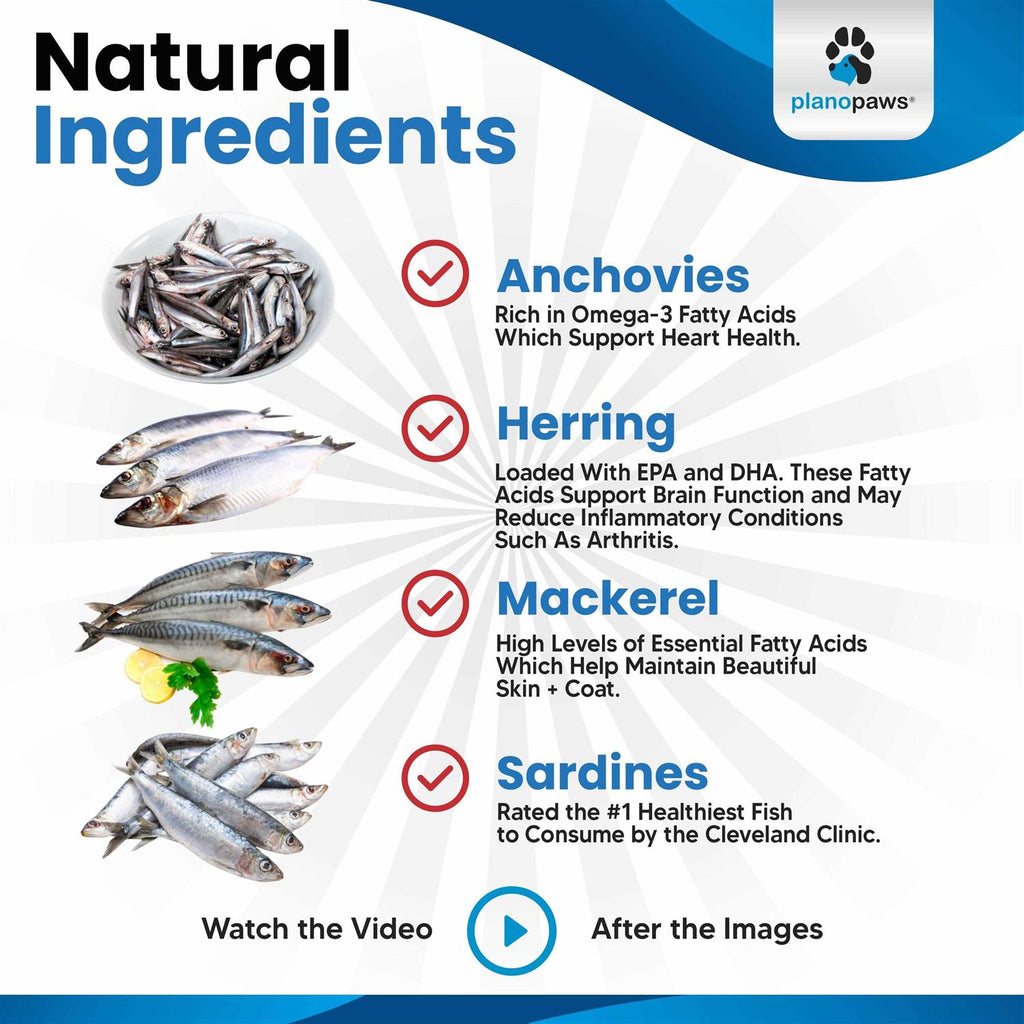 Omega 3 Fish Oil for Dogs S5679