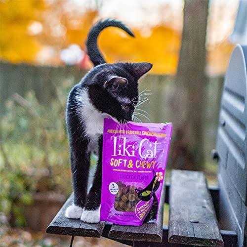 Chicken Soft & Chewy Cat Treats J43281