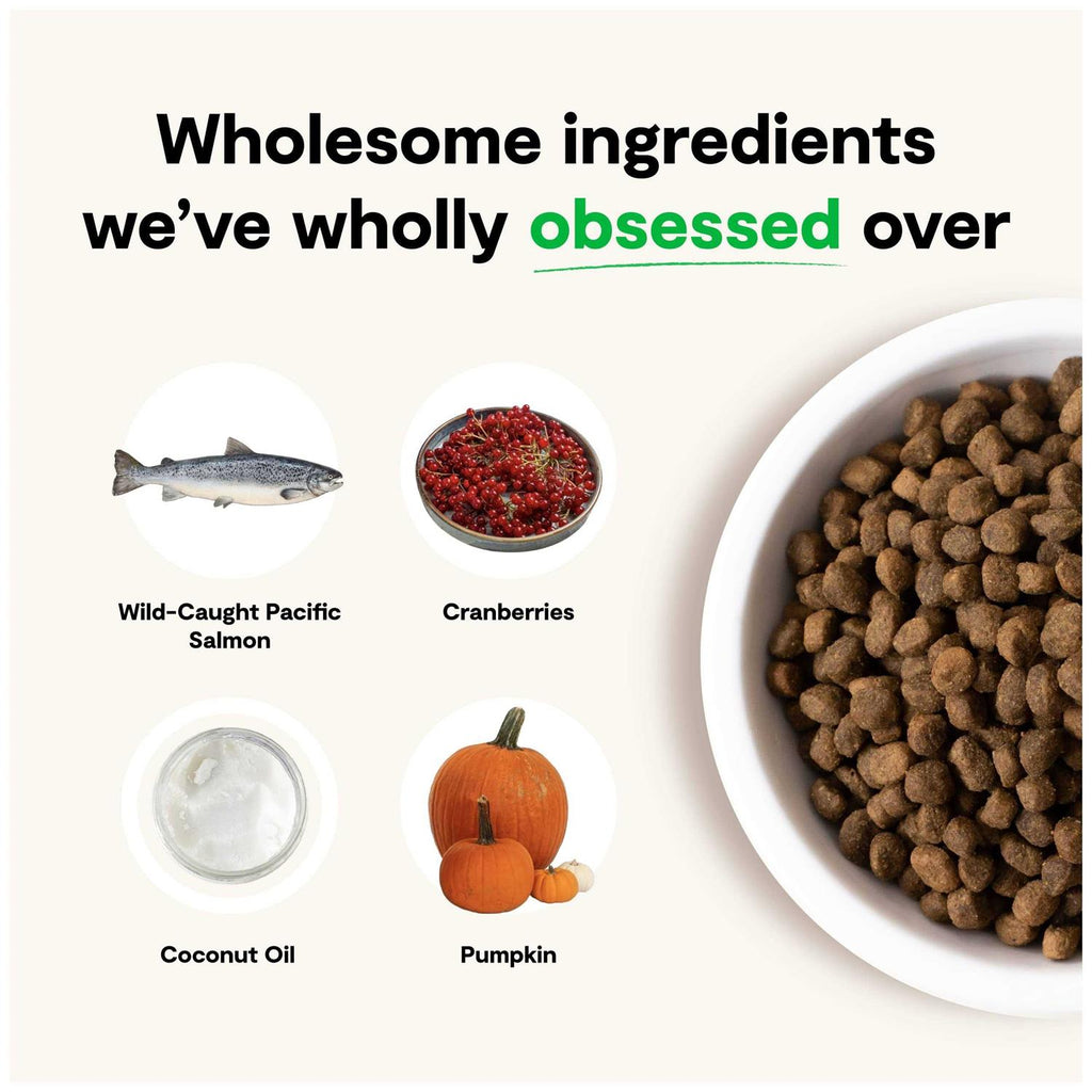 Grain-Free Wild-Caught Salmon Dry Dog Food M96068