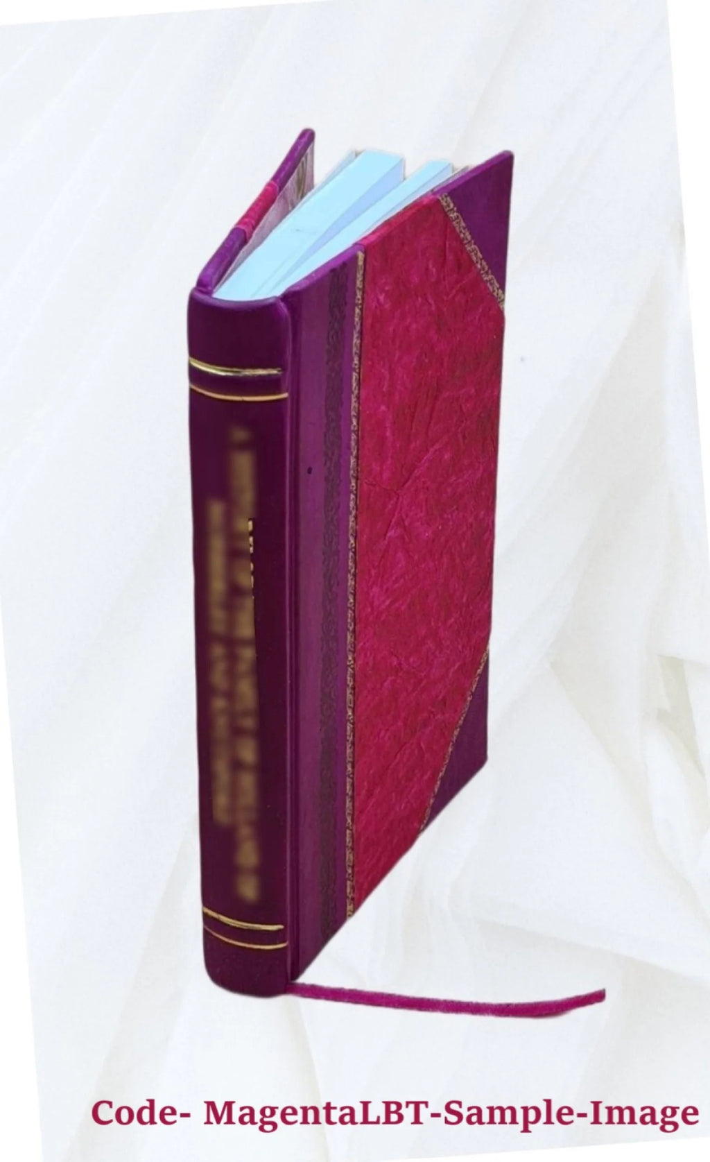 The at-onement by the Christian Trinity, or, The legal and spiritual salvation of man from sin makes manifest the dual philosophy of the gospel H789048