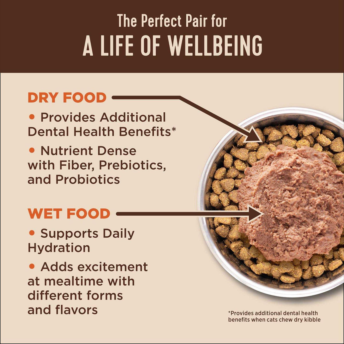 Wet Cat Food Pate Recipe X86567