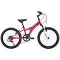20" Girls Mountain Bike Pink L823