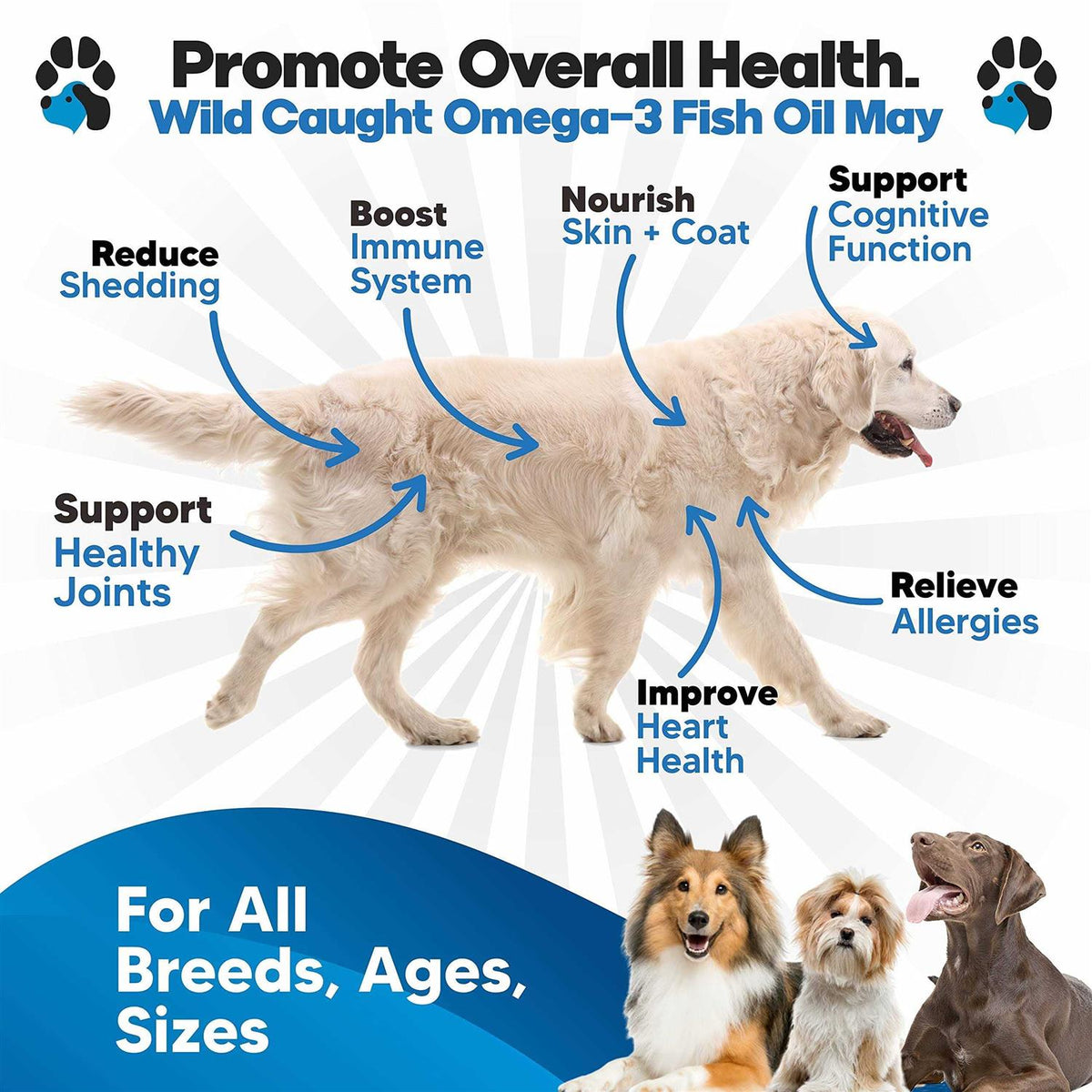 Omega 3 Fish Oil for Dogs S5679
