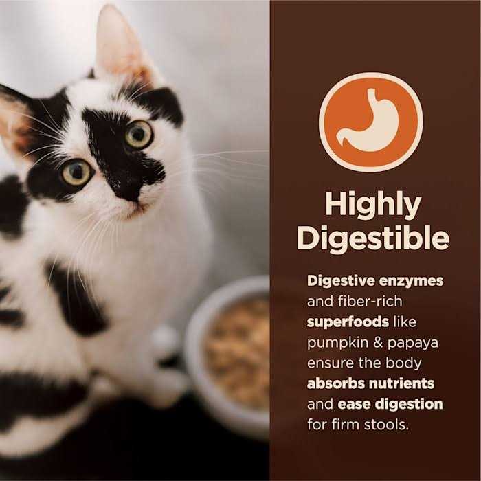 Wet Cat Food Pate Recipe X86567