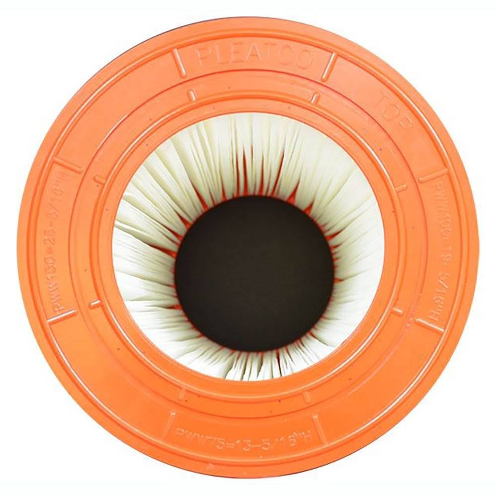 Replacement Cartridge for Pool 100 H825147