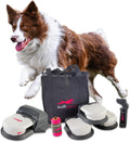 Remote-Control Capture-The-Flag Toy for Dogs W973333