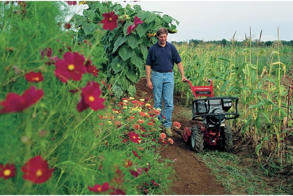 20 in. Rear Tine Tiller F834