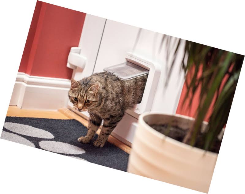 White Microchip Cat Flap W639396