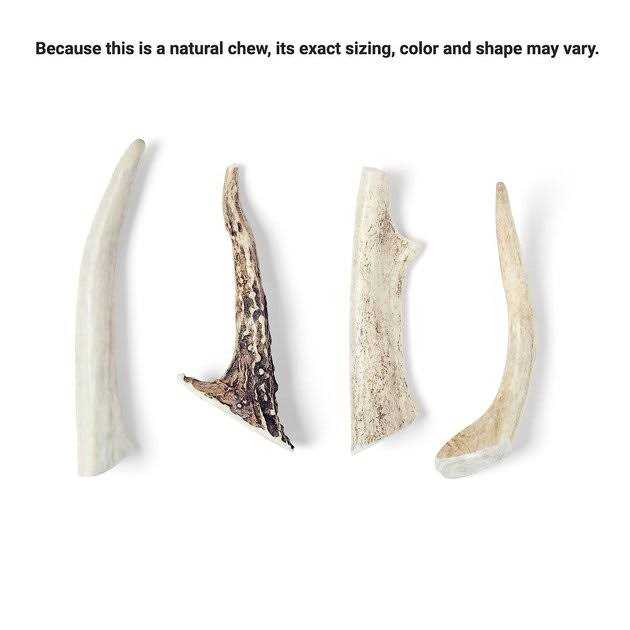 Deer Antler Dog Chew I636