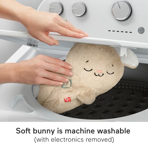 Portable Plush Sound Machine with Music Lights C67756