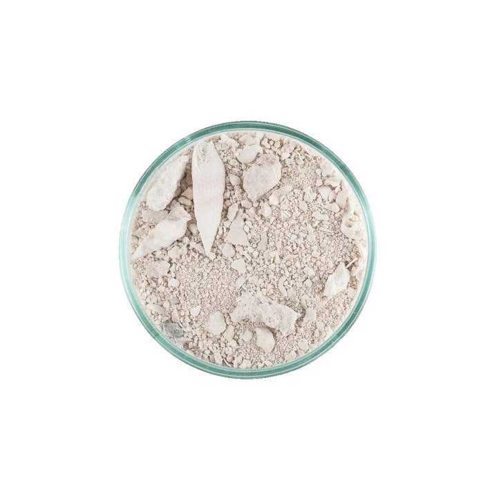 Caribbean Live Aquarium Sand P976