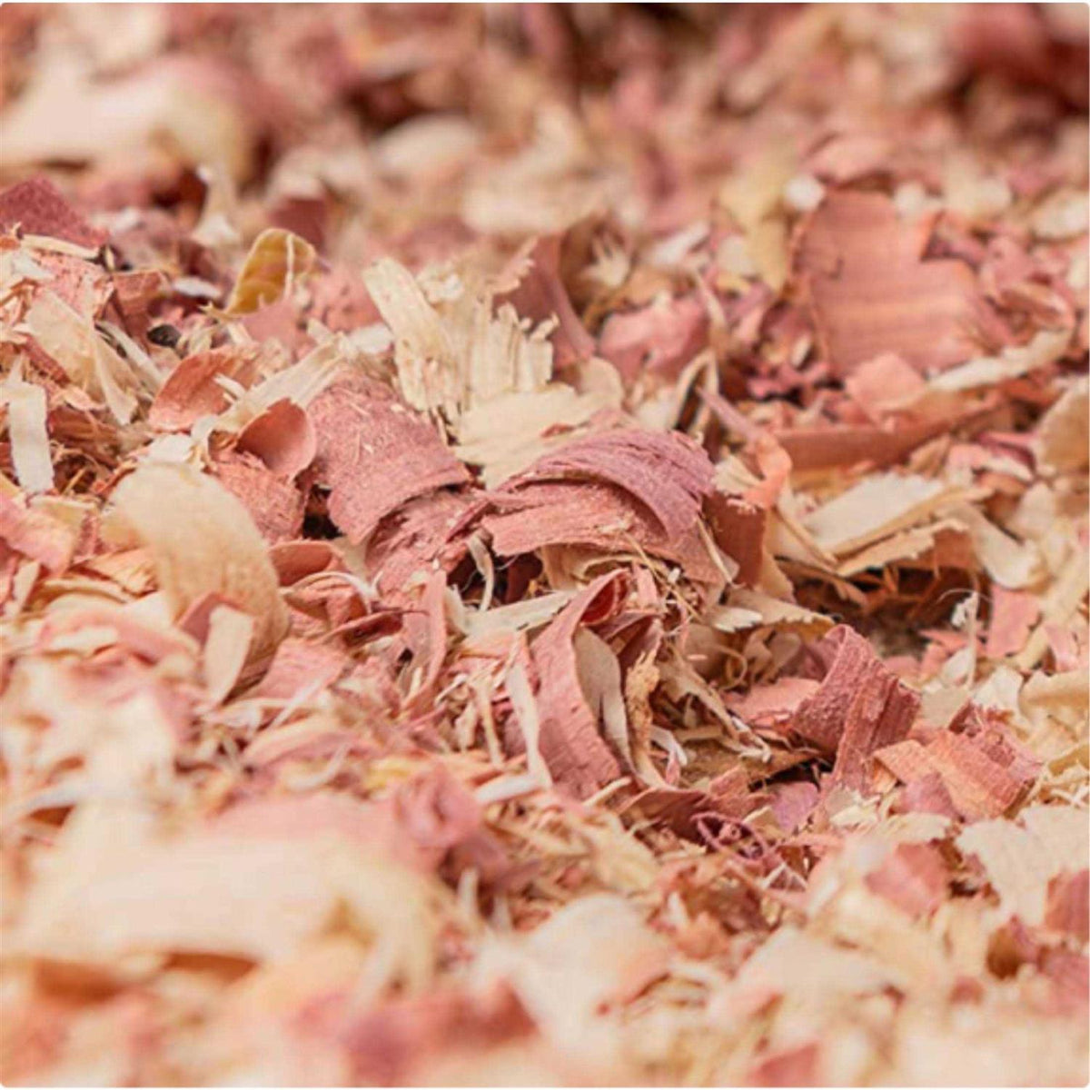 Kiln Dried Red Cedar Bedding G122