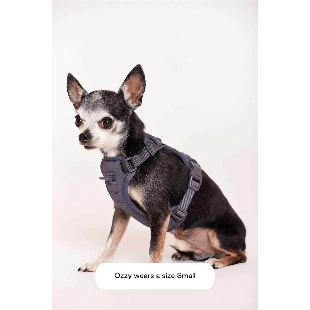 Double Panel Harness A539