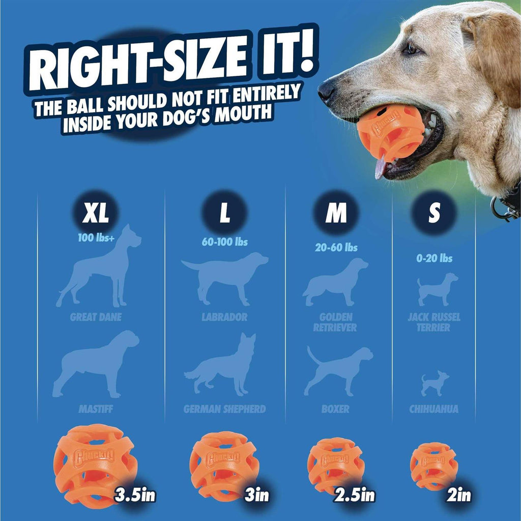 Fetch Ball V5054