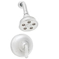 Polished Chrome Shower and Tub Combination T2865