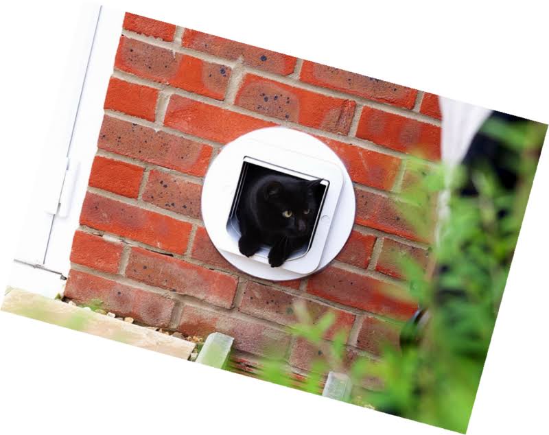 White Microchip Cat Flap W639396
